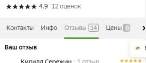 Как автомобильный дилер повысил свой рейтинг в 2ГИС: реальный кейс